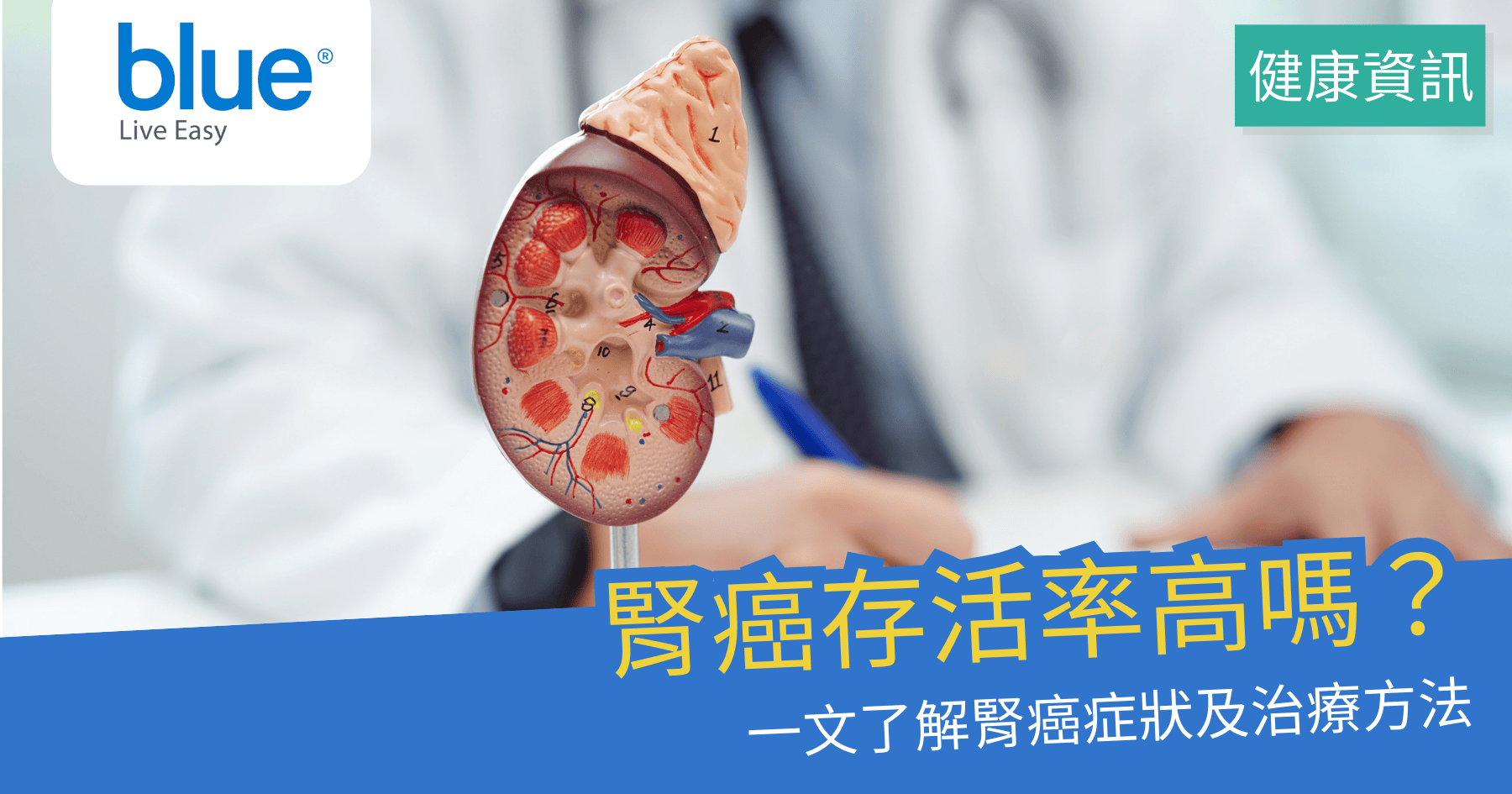 患上腎癌如何提高存活率？腎癌原因、症狀及手術治療方法- Blue